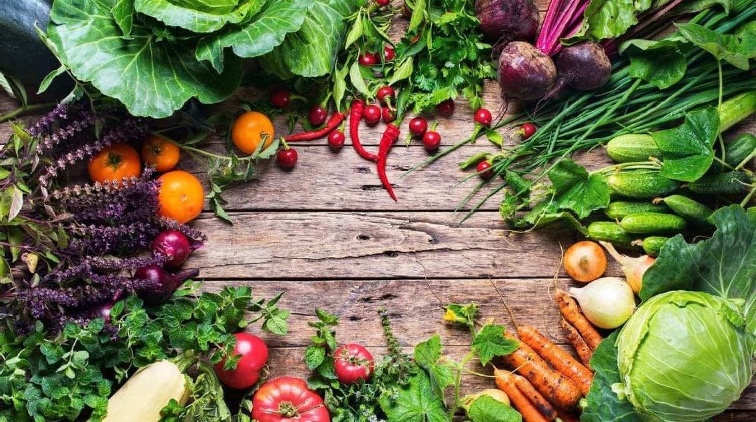 Small and Mighty Lettuce Turnip the Beet Community and School Garden